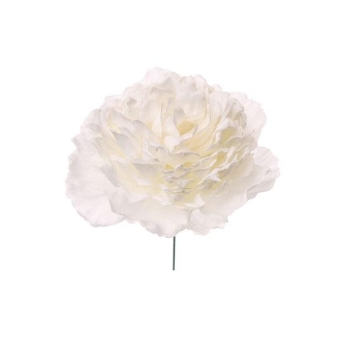 PICK PEONIA CM12 WHITE